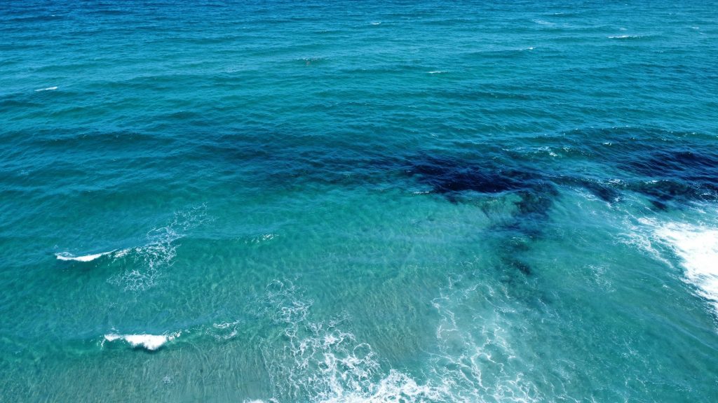 Seaweed, seen in black clumps, in the ocean in Boca Raton, FL, May 1, 2025. (Photo: Boca Daily News)