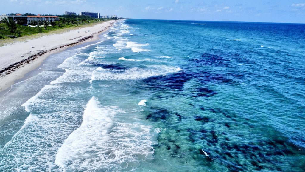 Seaweed, seen in black clumps, in the ocean in Boca Raton, FL, May 1, 2025. (Photo: Boca Daily News)