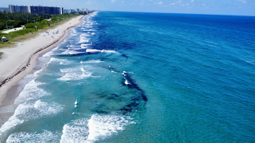 Seaweed, seen in black clumps, in the ocean in Boca Raton, FL, May 1, 2025. (Photo: Boca Daily News)
