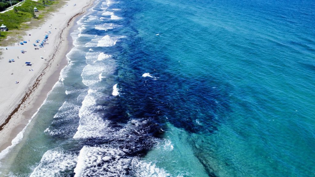 Seaweed, seen in black clumps, in the ocean in Boca Raton, FL, May 1, 2025. (Photo: Boca Daily News)