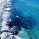 Seaweed, seen in black clumps, in the ocean in Boca Raton, FL, May 1, 2025. (Photo: Boca Daily News)