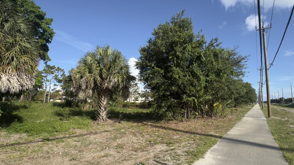 A preserved area in Boca Raton near Boca Town Center, June 2025. (Photo: Boca Daily News)