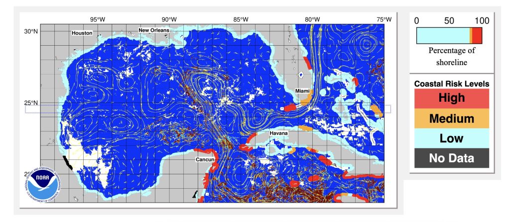 Sargassum levels, July 2025. (Credit: USF)