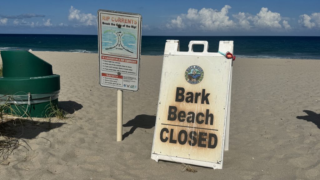 Waves and beach erosion in Boca Raton and Delray Beach, Fla. Aug, 19, 2025, as Hurricane Erin hovers offshore. (Photo: Boca Daily News)