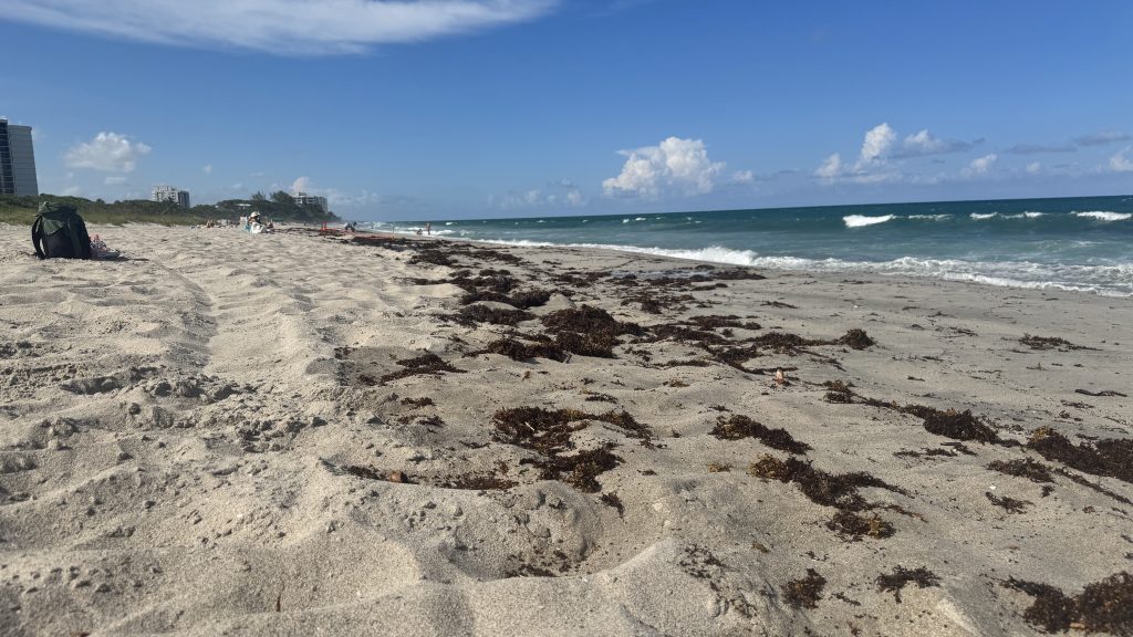 Waves and beach erosion in Boca Raton and Delray Beach, Fla. Aug, 19, 2025, as Hurricane Erin hovers offshore. (Photo: Boca Daily News)