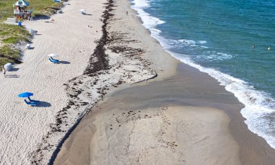 Waves and beach erosion in Boca Raton and Delray Beach, Fla. Aug, 19, 2025, as Hurricane Erin hovers offshore. (Photo: Boca Daily News)